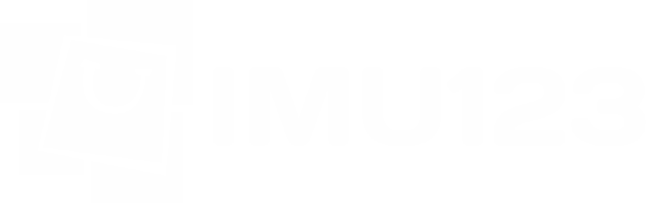IMU123